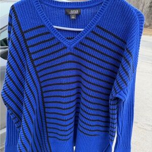 a.n.a Royal Blue and Black Striped V-Neck Sweater